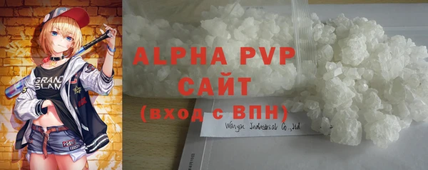 ГАЛЛЮЦИНОГЕННЫЕ ГРИБЫ Ельня