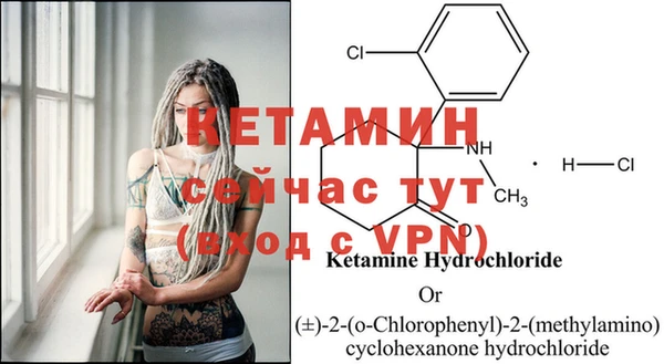 ECSTASY Елизово