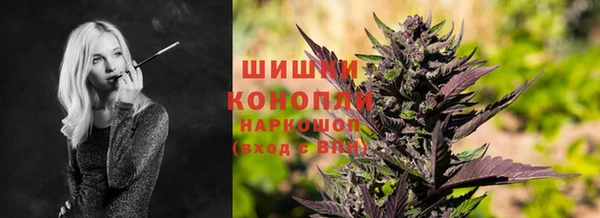 ГАЛЛЮЦИНОГЕННЫЕ ГРИБЫ Ельня