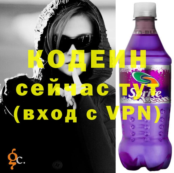 ГАЛЛЮЦИНОГЕННЫЕ ГРИБЫ Ельня