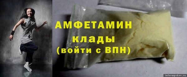 ГАЛЛЮЦИНОГЕННЫЕ ГРИБЫ Ельня