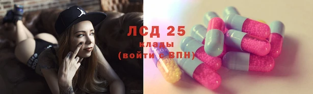 ГАЛЛЮЦИНОГЕННЫЕ ГРИБЫ Ельня