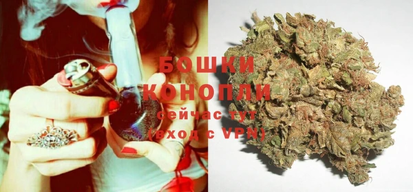 ECSTASY Елизово