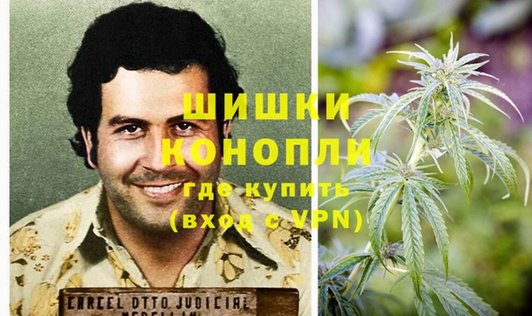 ГАЛЛЮЦИНОГЕННЫЕ ГРИБЫ Ельня