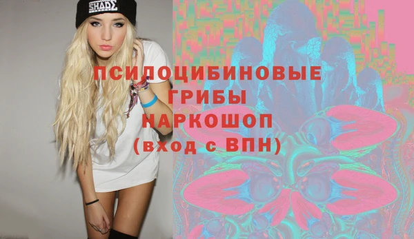 ГАЛЛЮЦИНОГЕННЫЕ ГРИБЫ Ельня