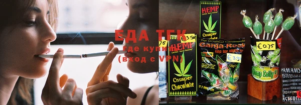 ГАЛЛЮЦИНОГЕННЫЕ ГРИБЫ Ельня