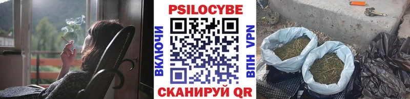 Купить закладки  Мончегорск  Псилоцибиновые грибы мухоморы 